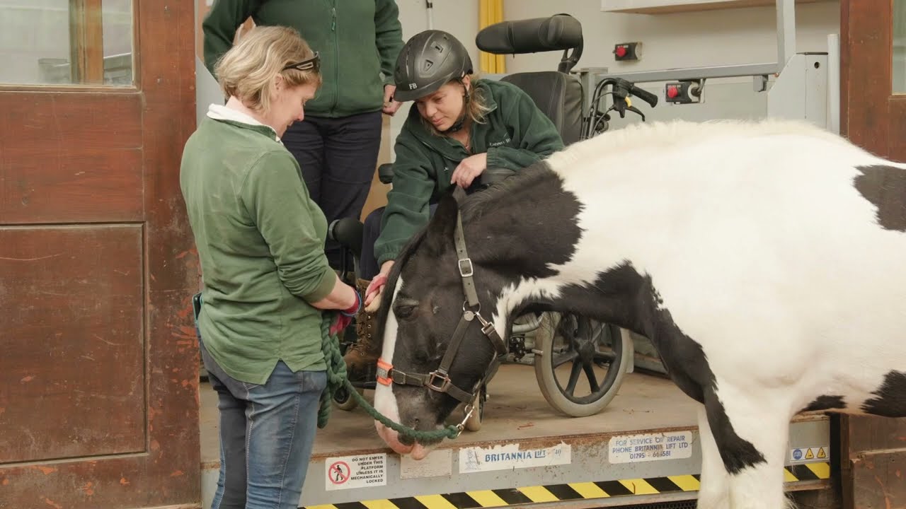 Accessible Equine Activities explained | Lake District Calvert Trust