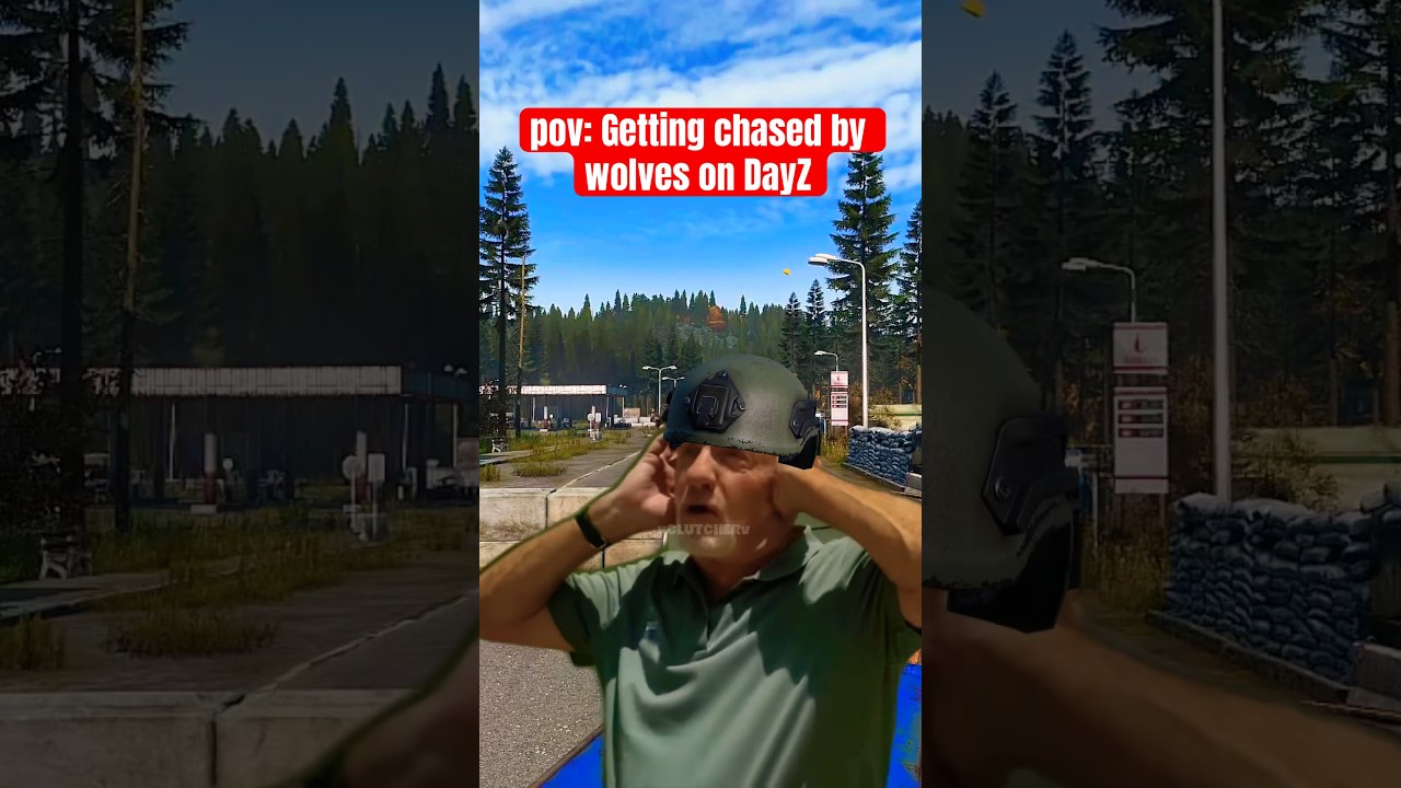 На меня охотятся ВОЛКИ в DayZ #shorts