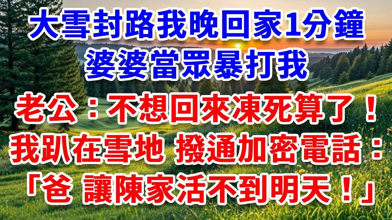 大雪封路我晚回家1分鐘，婆婆當眾暴打我，老公：不想回來凍死算了！我趴在雪地中，看婆家歡聲笑語，撥通加密電話：爸，讓陳家活不到明天！#詩涵講故事#為人處世#生活經驗#情感故事#晚年哲理#說故事#完結文