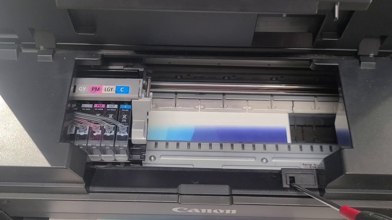 Canon pro-100 Ciss