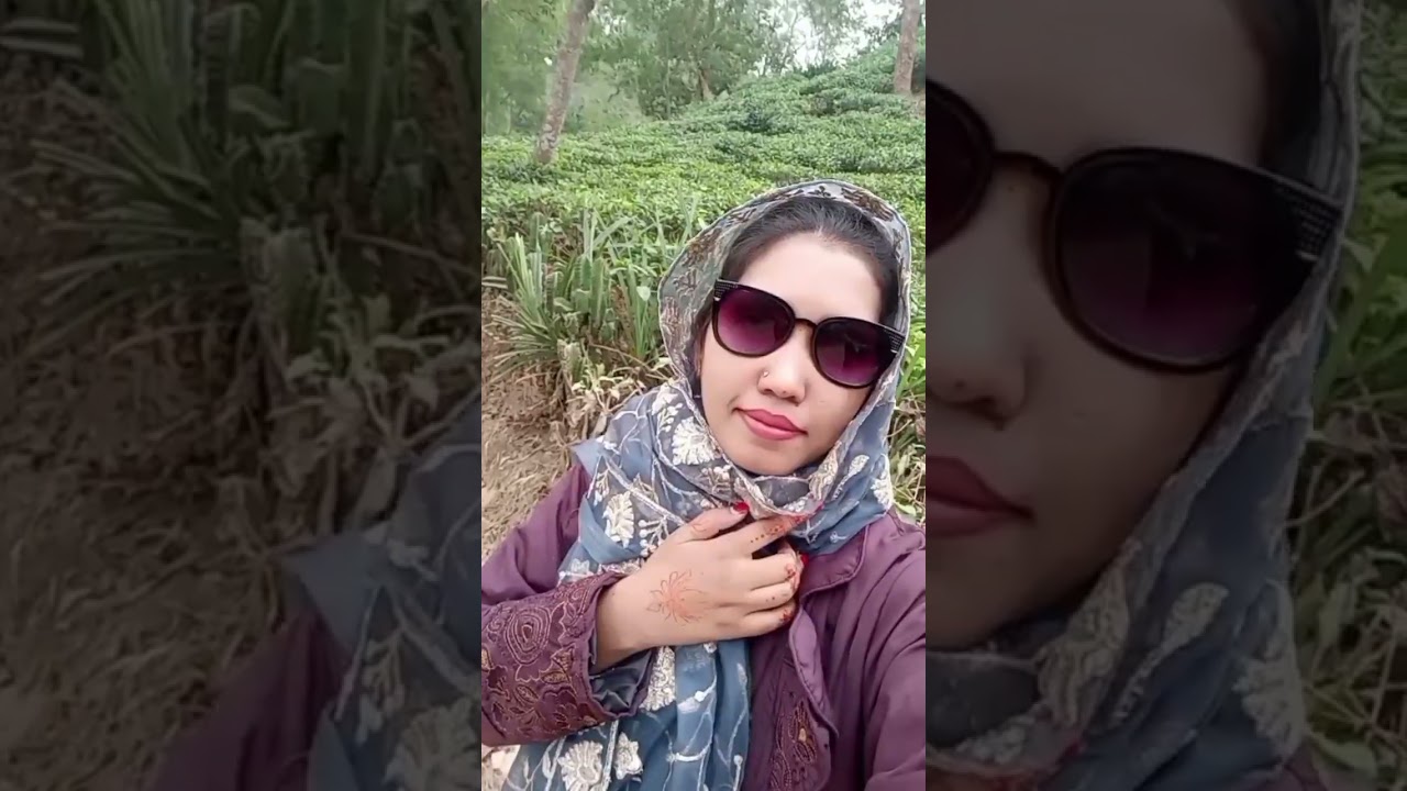 কি যে সুন্দর,,, চা বাগান 