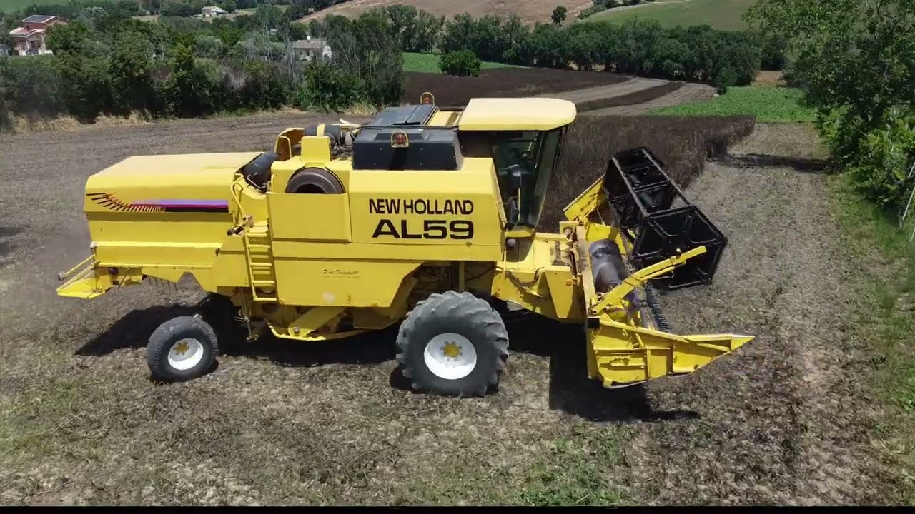 TREBBIATURA FAVINO 2022 - FILOTTRANO (AN)
