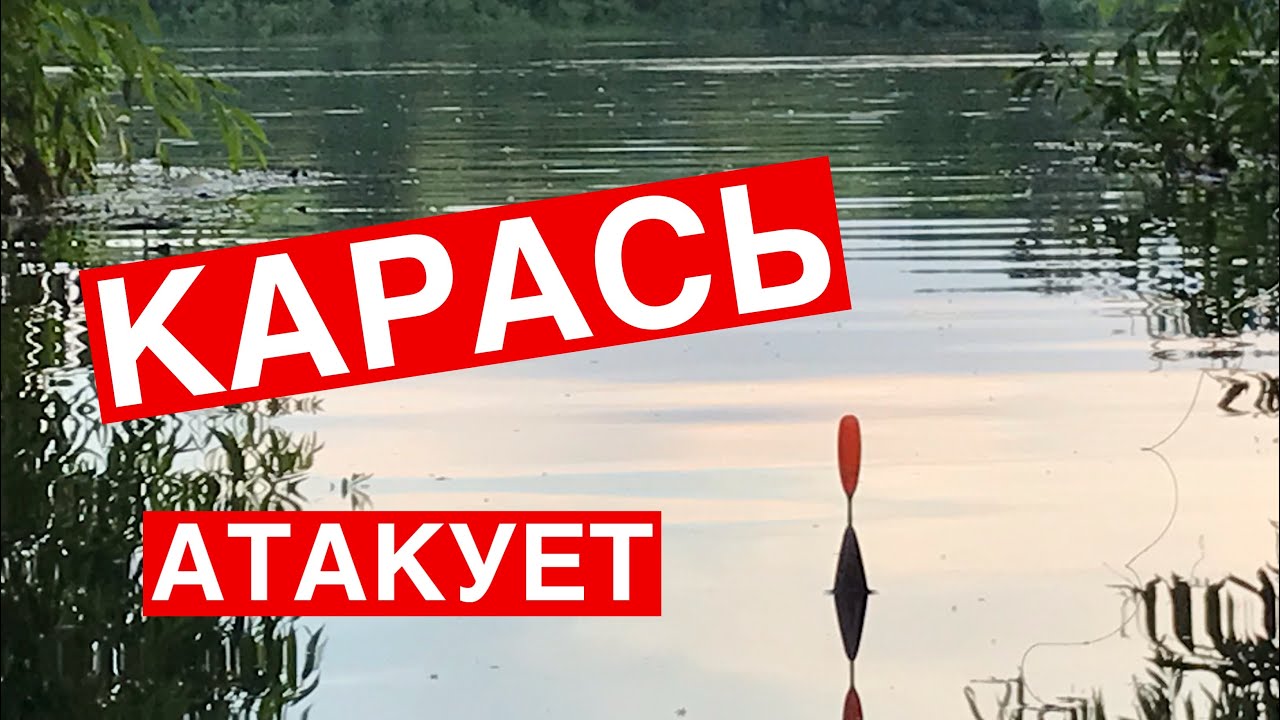 РЫБАЛКА НА ПОПЛАВОЧНУЮ УДОЧКУ! РЫБАЛКА НА ДНЕСТРЕ!