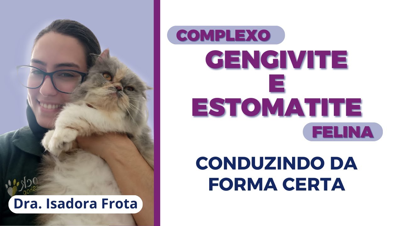 GENGIVITE E ESTOMATITE FELINA [CONDUZINDO DA FORMA CERTA]