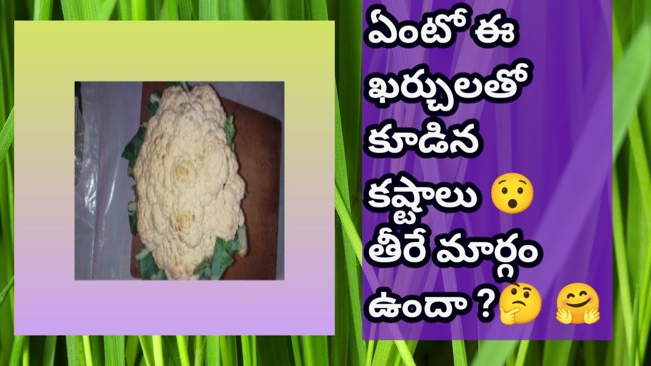 #cauliflower curry# మన family సమస్యలను ఆపే ప్రయత్నం చేద్దామా 🙂🤗