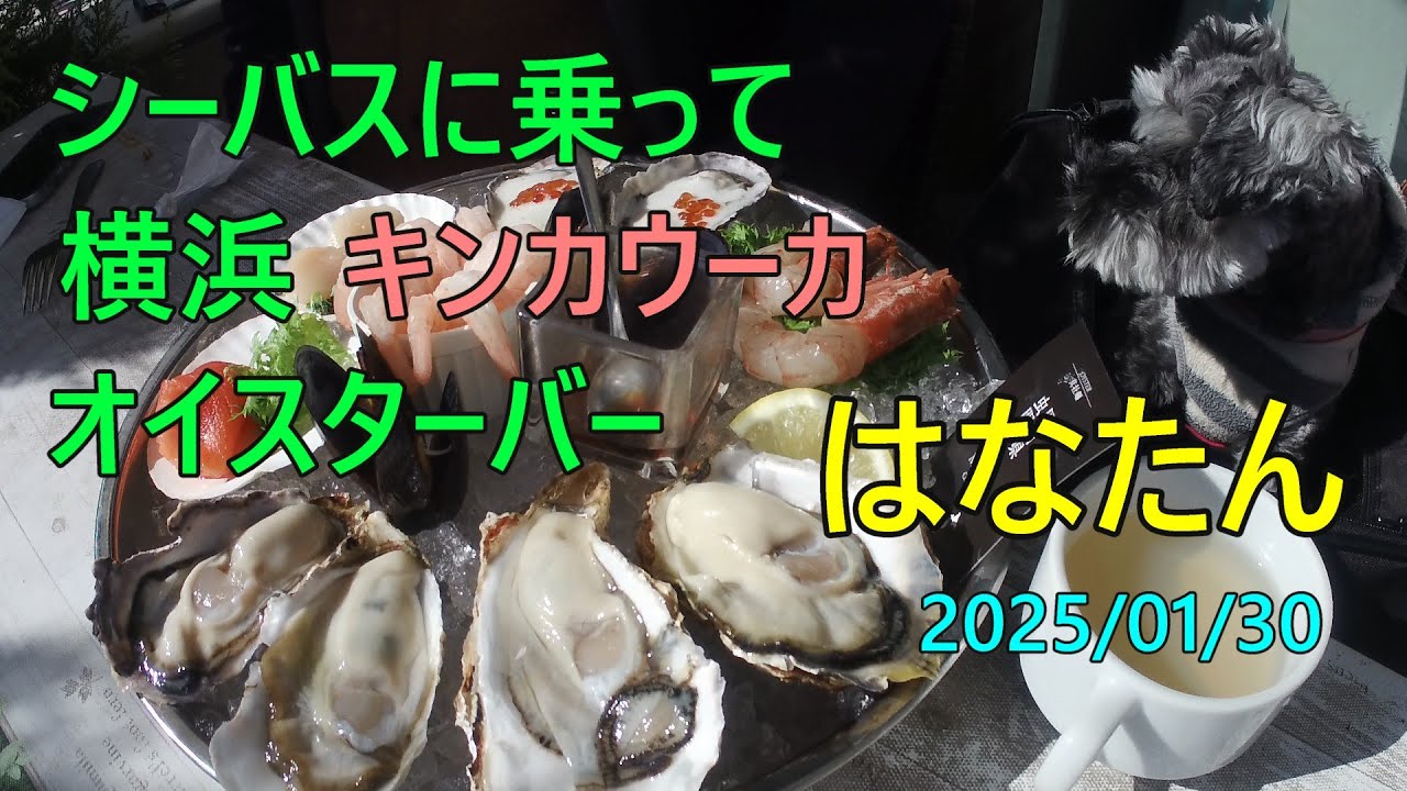 横浜 シーバス キンカウーカ(オイスターバー)
