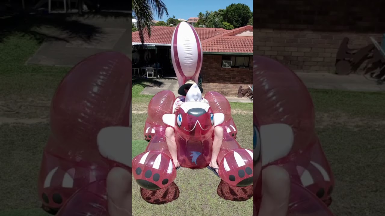 Inflatable Skunk ride no.2