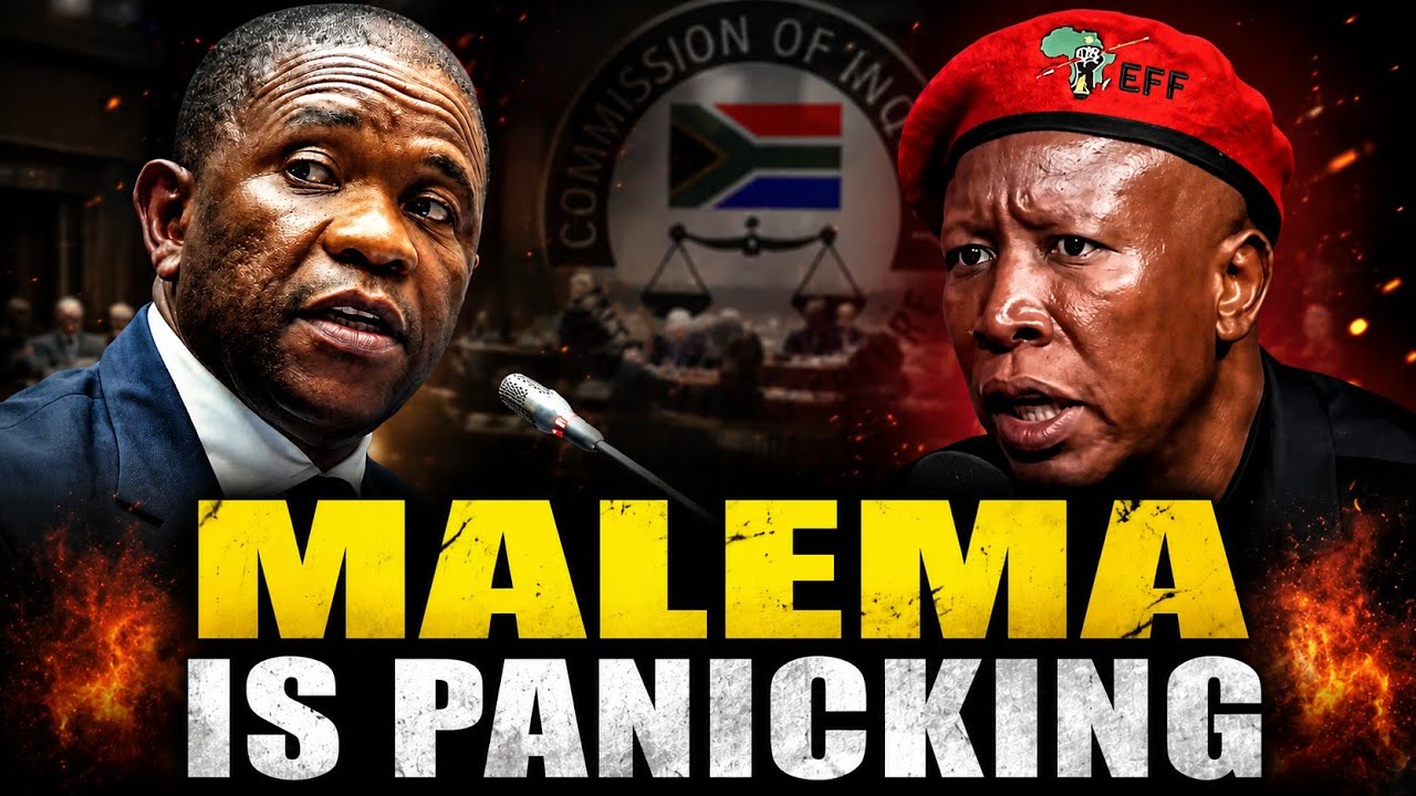 General Mkhwanazi Reveals How MPs Could Be Linked to Criminal Syndicates | Explosive Testimony