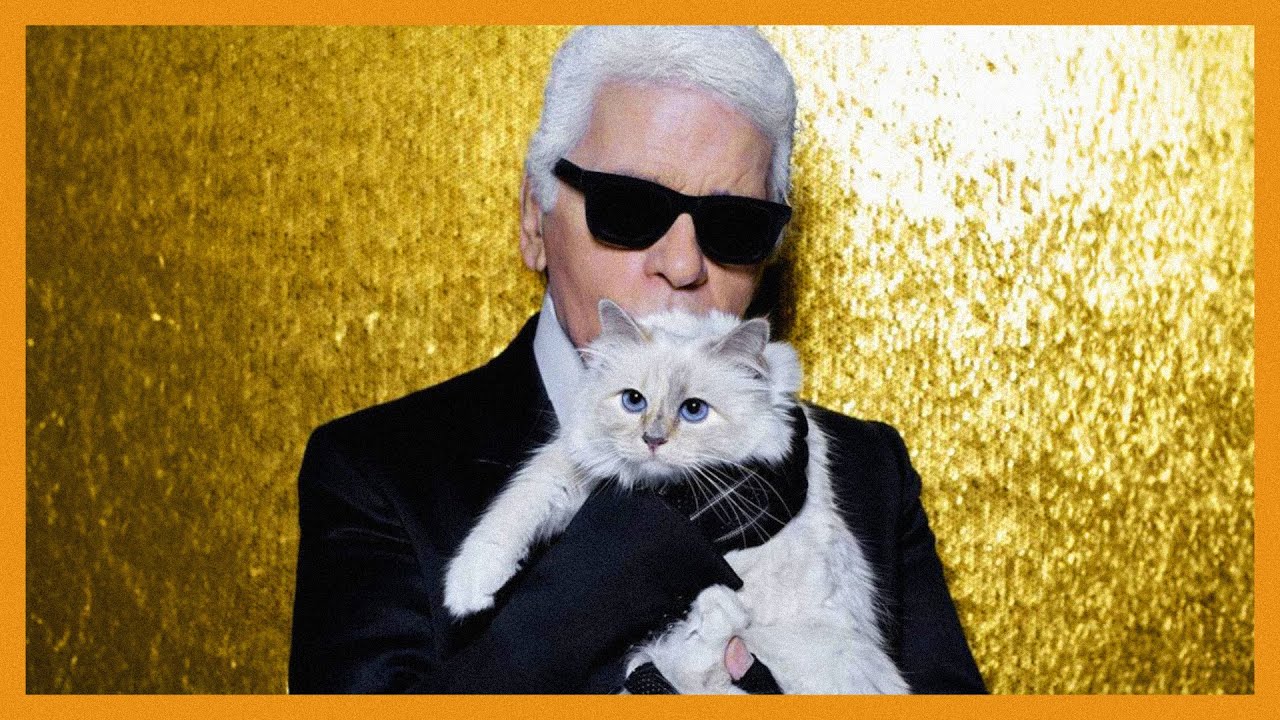 Choupette the cat behind Karl Lagerfeld spotlight