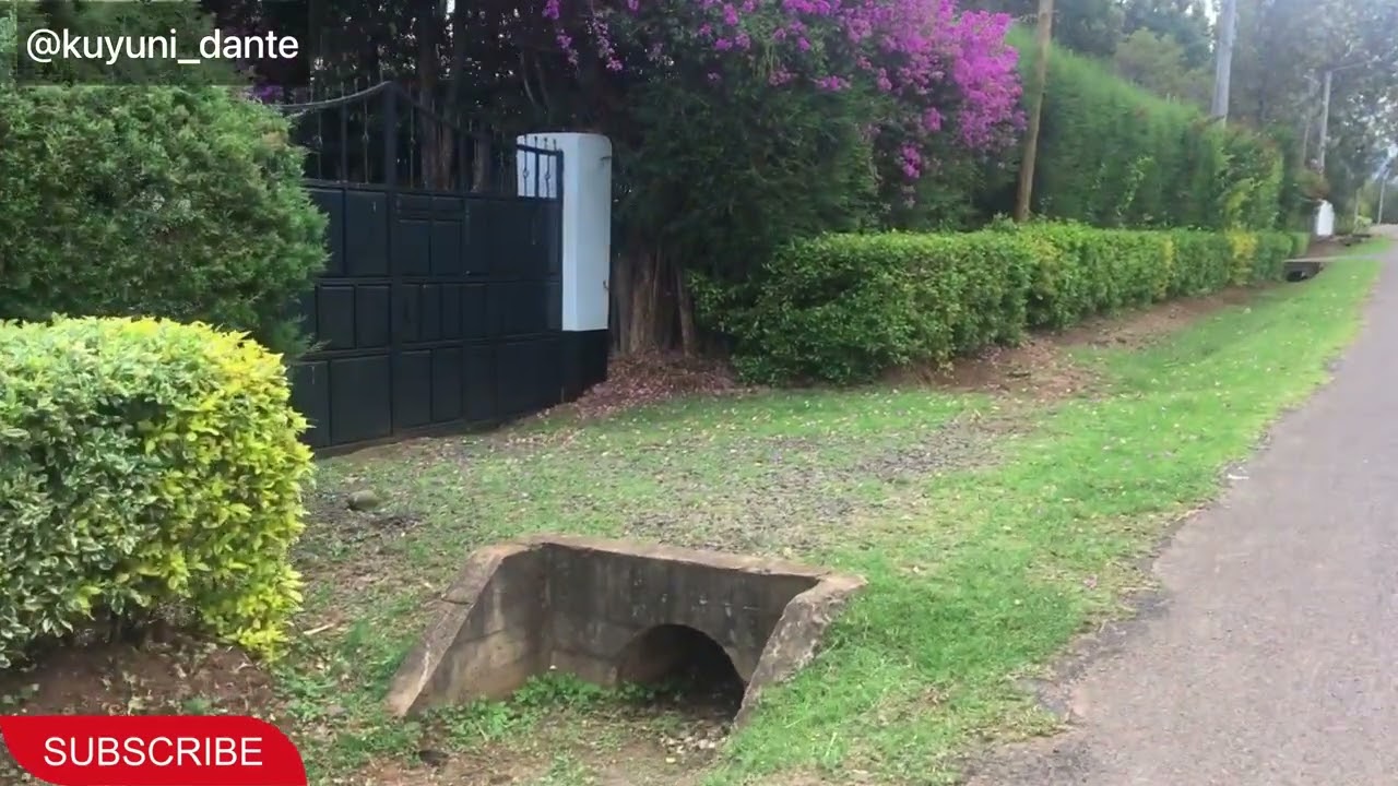 Walking Through Nanyuki Rich Neighborhood