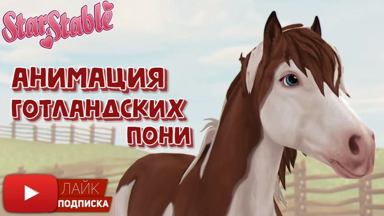 Анимация Готландских Пони в Star Stable Online | Спойлер | The Gotland Pony | Игра про лошадей