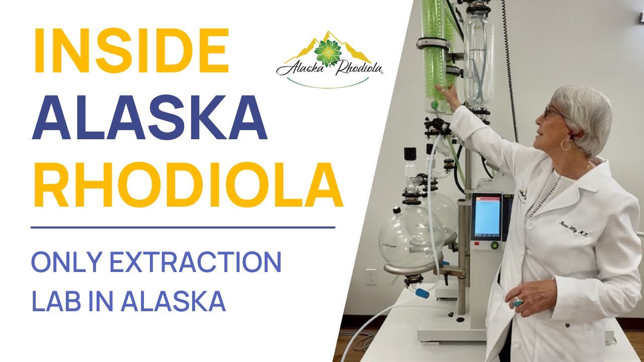 Inside Alaska Rhodiola’s Extraction Lab: Behind the Scenes of Supplement Manufacturing in Alaska