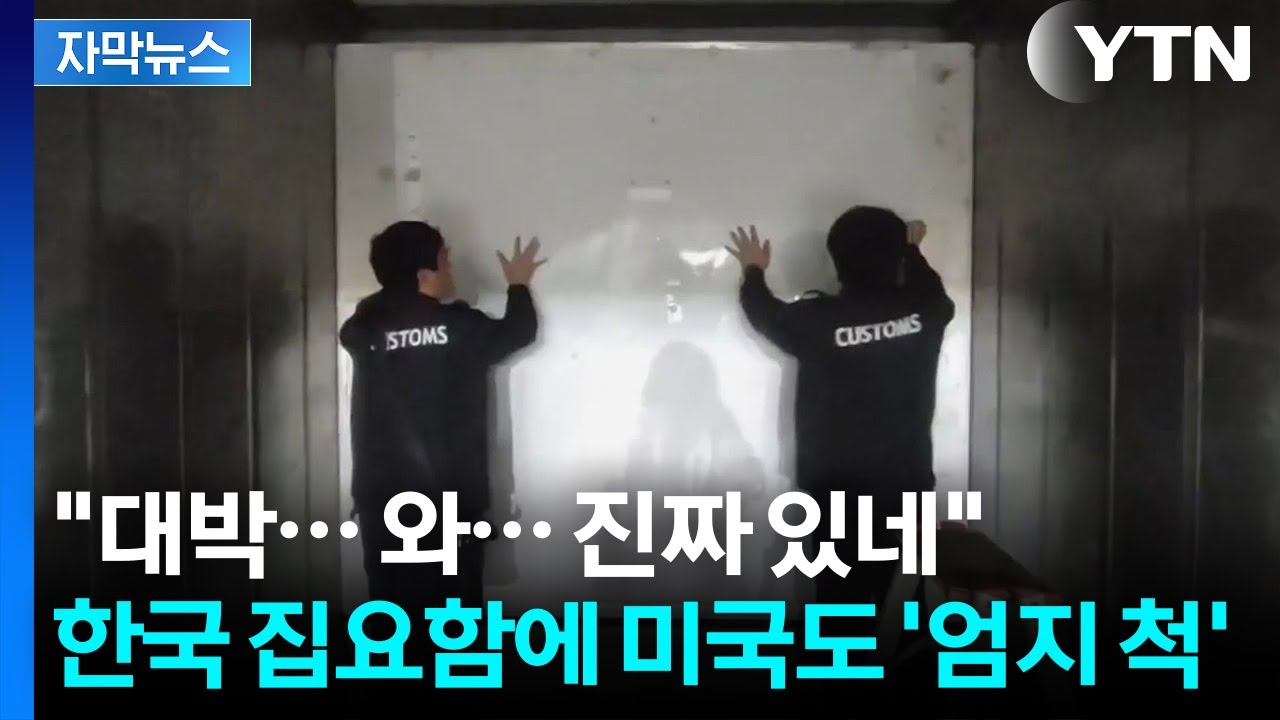 [자막뉴스] 한국 세관에 요청한 미국…부산항에서 가로막힌 '초대형 마약' / YTN