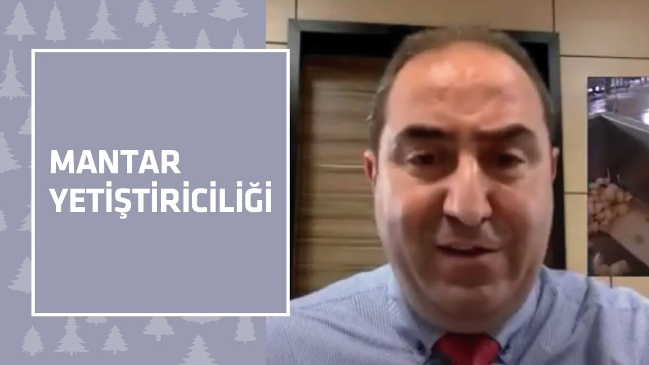 Mantar Yetiştiriciliği