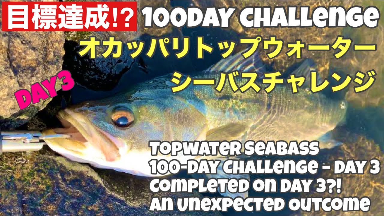 100日オカッパリトップ縛りシーバス Day3まさかの結果に…3日目にして達成！？Topwater Seabass 100-Day Challenge Completed on Day 3!?