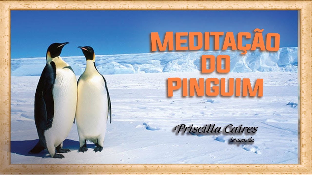 Meditação guiada do Pinguim - Série Meditações - Desafios emocionais