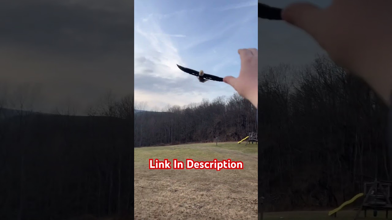 Fun on a Budget &mdash; Eagle RC Plane