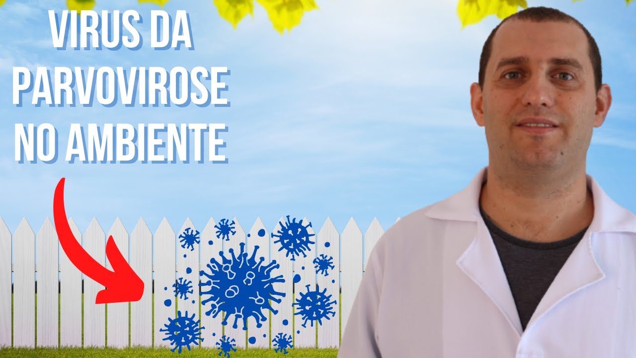 Quanto tempo o virus da parvovirose pode sobreviver no ambiente ?