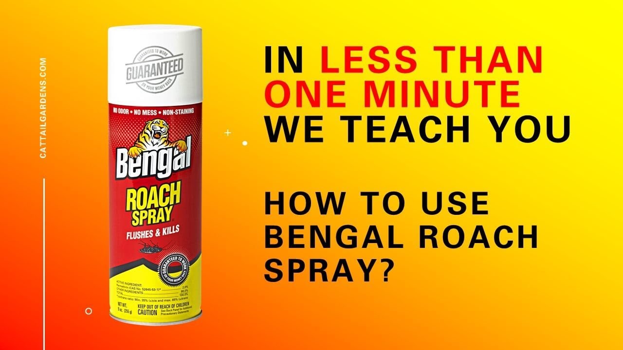 How To Use Bengal Roach Spray? Bengal Roach Spray Review #roachcontrol  #pets  #roaches