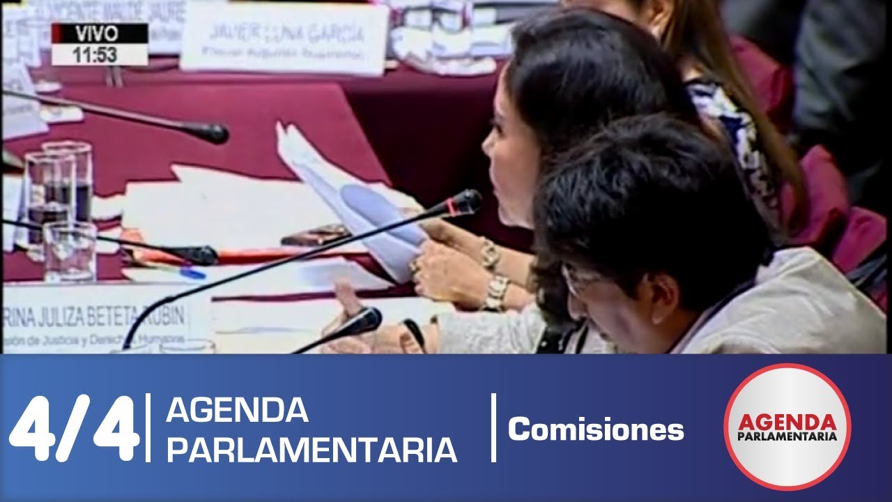 Sesión Comisión de Justicia 4/4 (27/12/18)