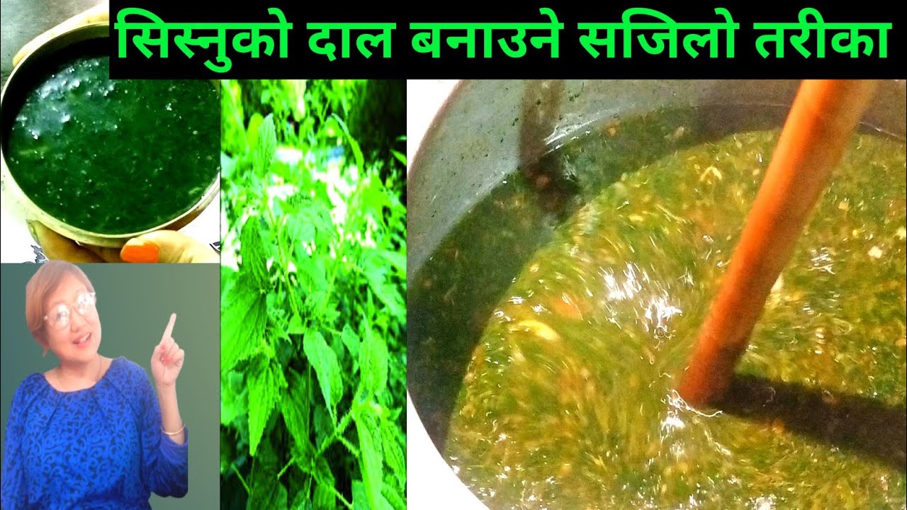 Organic सिस्नु दाल एकदमै मिठो र छिटो बनाउने तरिका |  how to make sisnu daal | ambucooks🔥