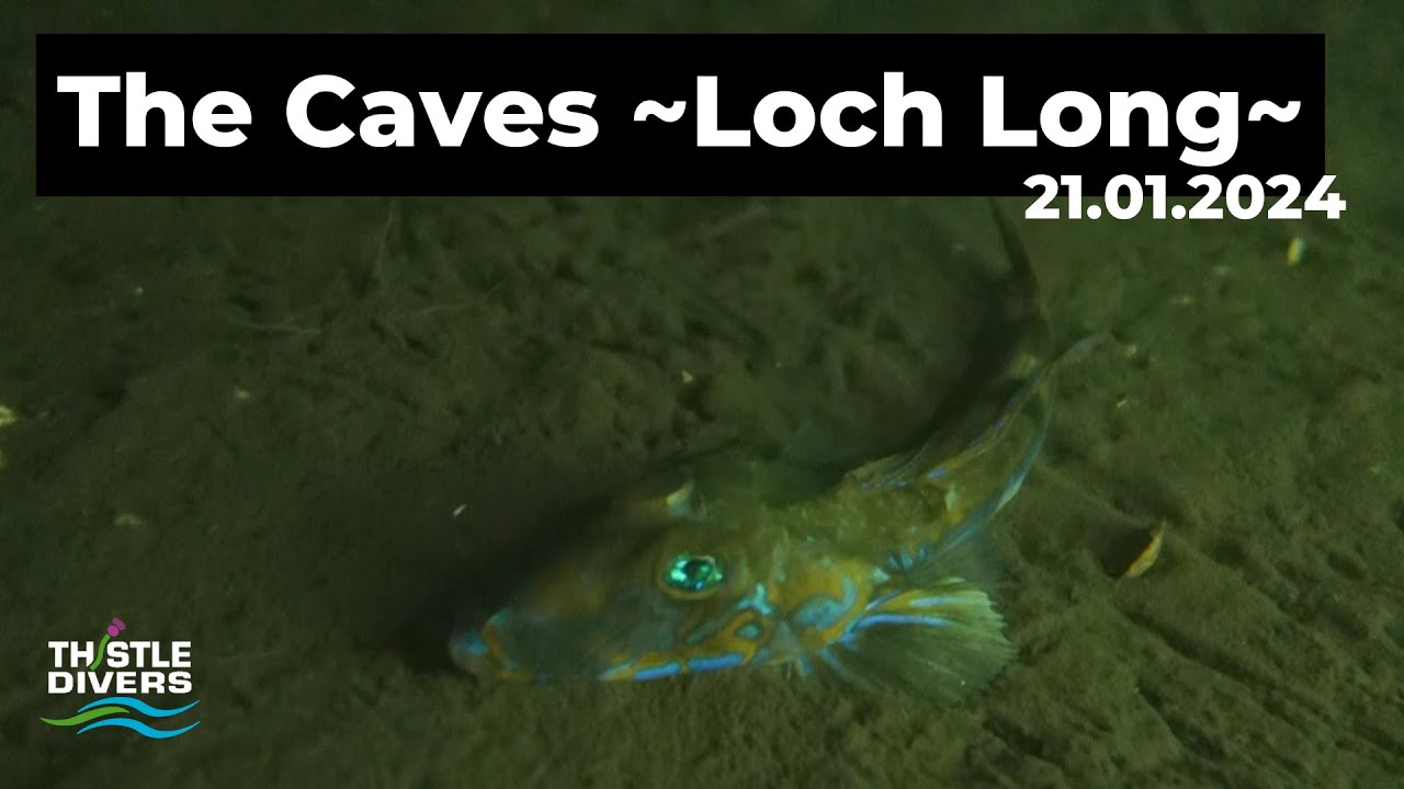 SCUBA Diving in Scotland | Beautiful dive at The Caves in Loch Long!