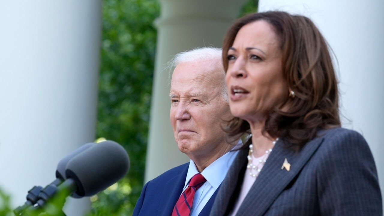 ‘Incompetent’: Democrats ‘screwed themselves on DEI’ with Kamala Harris as VP