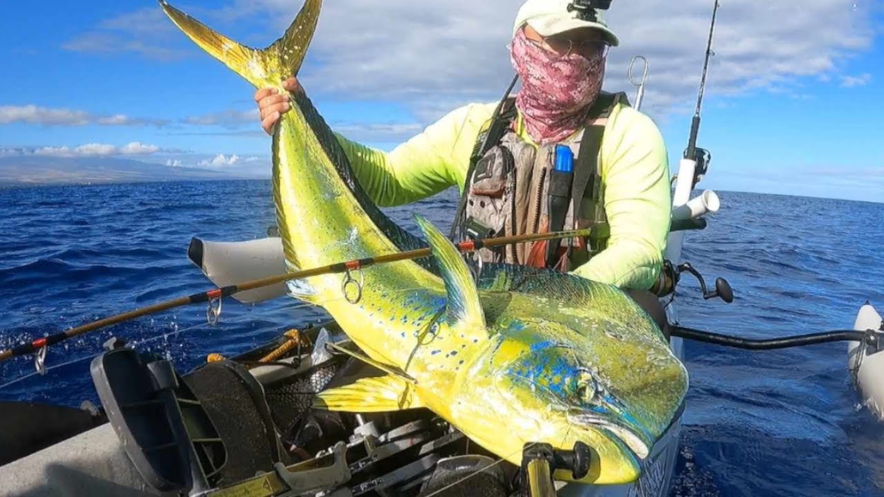 Hawaii Kayak Fishing: Slammer Bull Mahimahi!!! Two double strikes!