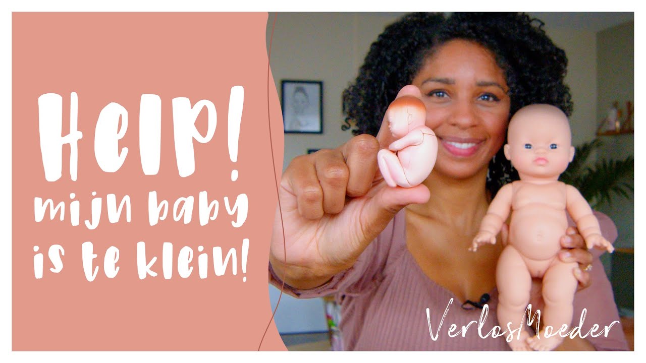 HELP MIJN BABY IS TE KLEIN?! Groeiecho | Inleiding | Groeivertraging| Bevalling