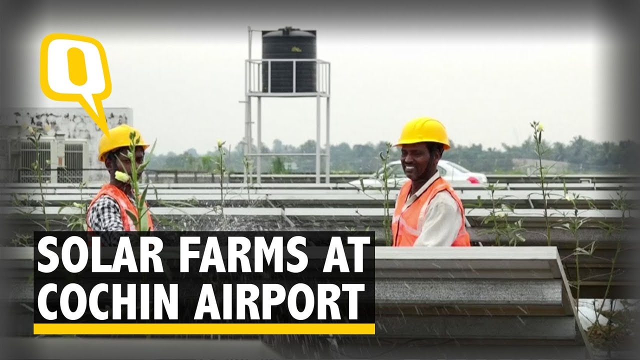 Cochin Airport Grows 40 Tonnes of Vegetables Through Solar Farming | The Quint
