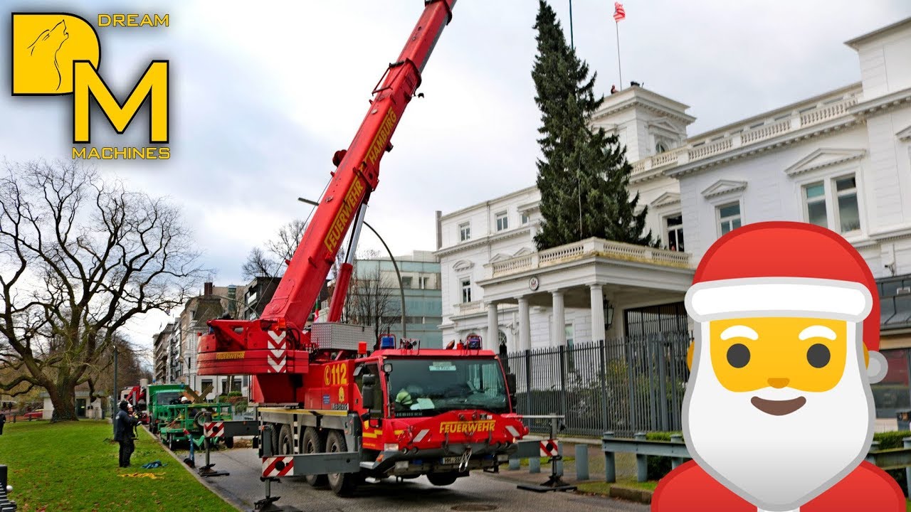 Mobile crane installing enormous christmas tree at US consulate 🎄 MERRY CHRISTMAS 🎅