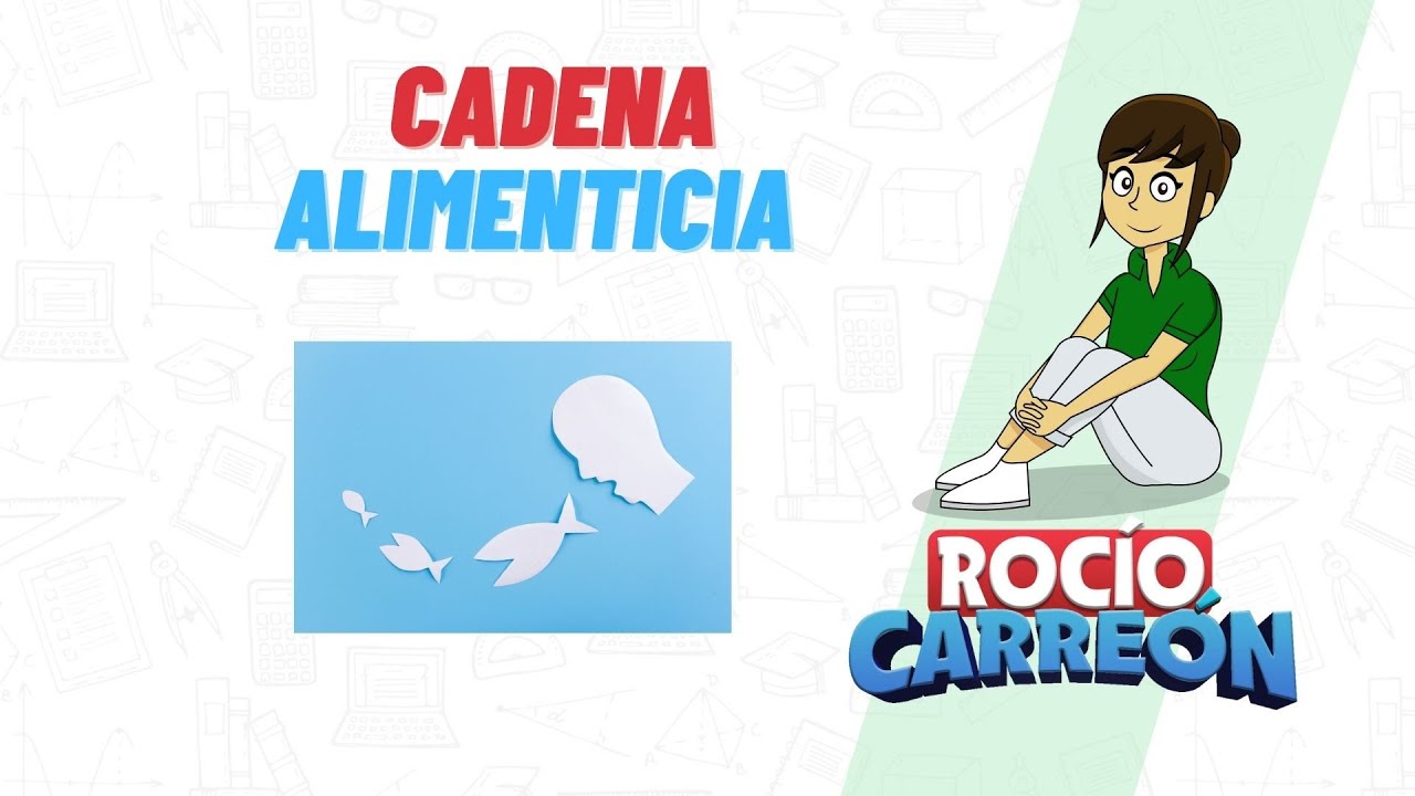 CADENA ALIMENTICIA - PRODUCTORES, CONSUMIDORES PRIMARIOS, SECUNDARIOS, TERCIARIOS Y DESCOMPONEDORES