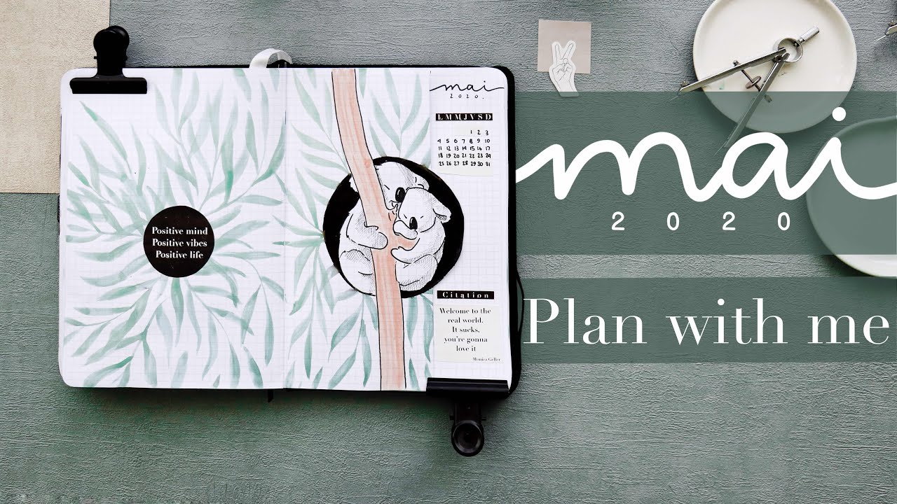 DES KOALAS 🐨 pour Mai dans mon bullet journal - plan with me