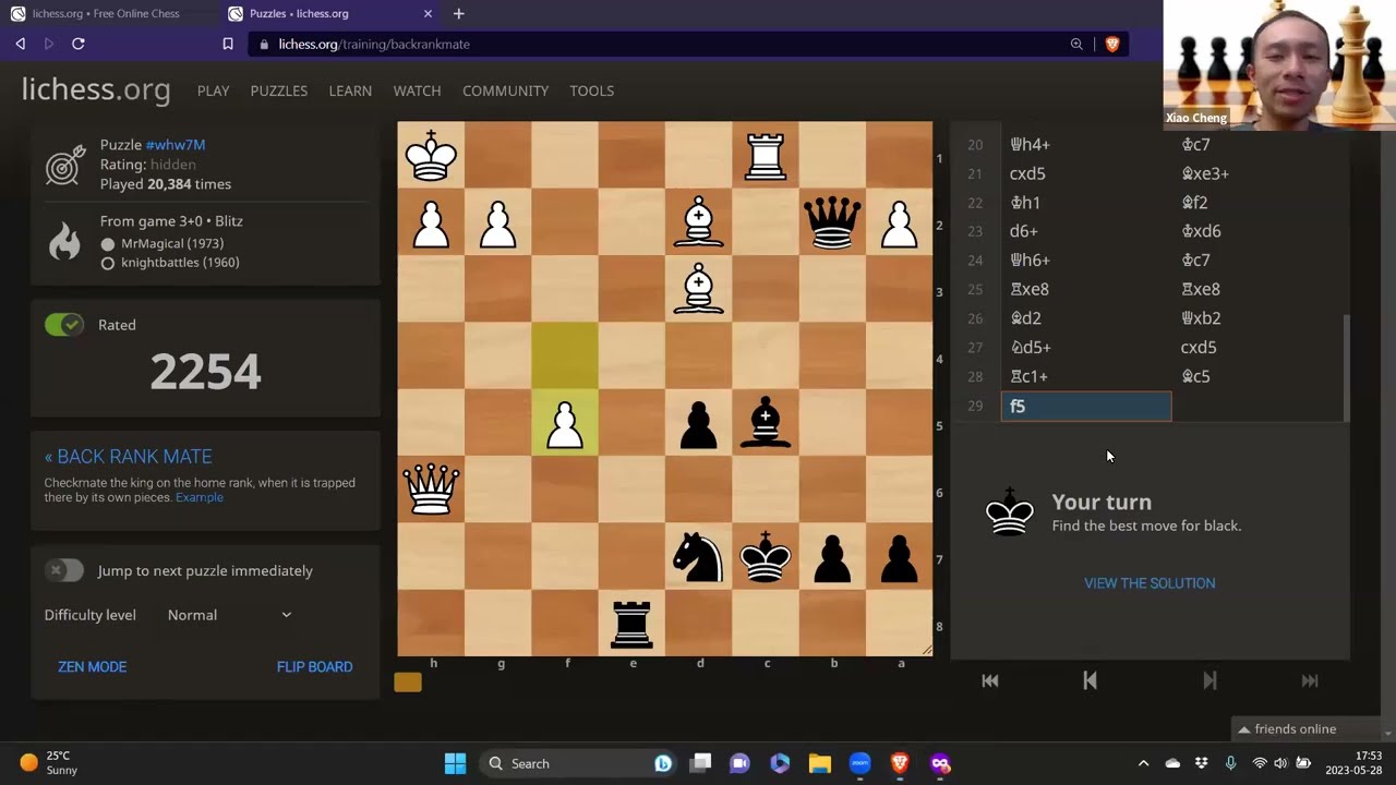 Lichess Study: Saving Puzzles