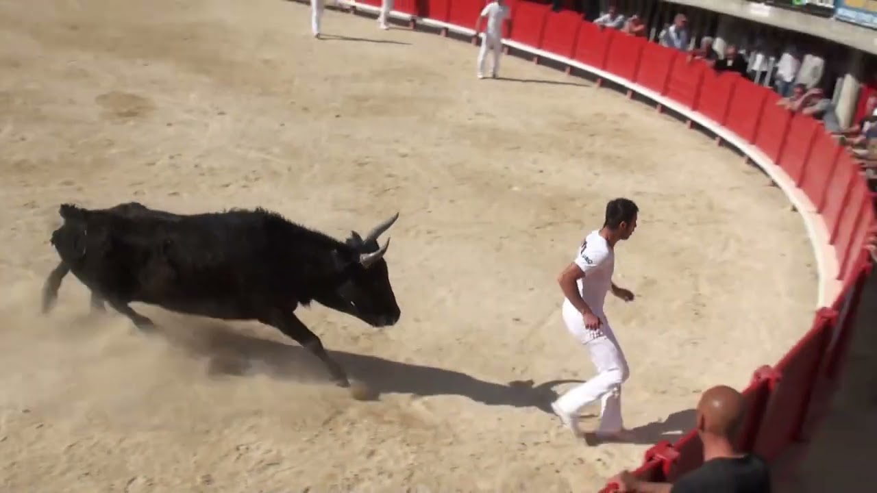 lunel 17 avril 2011 ( accrochage amine garlan )