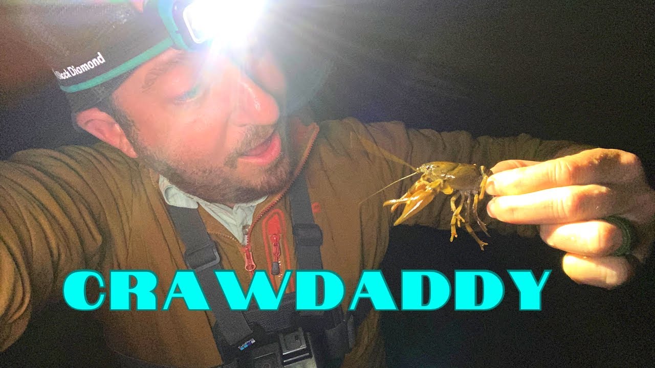 CRAWDAD Catch and Cook! Mountain Lobster! CRAYFISH in WA Stream during a Meteor Shower!