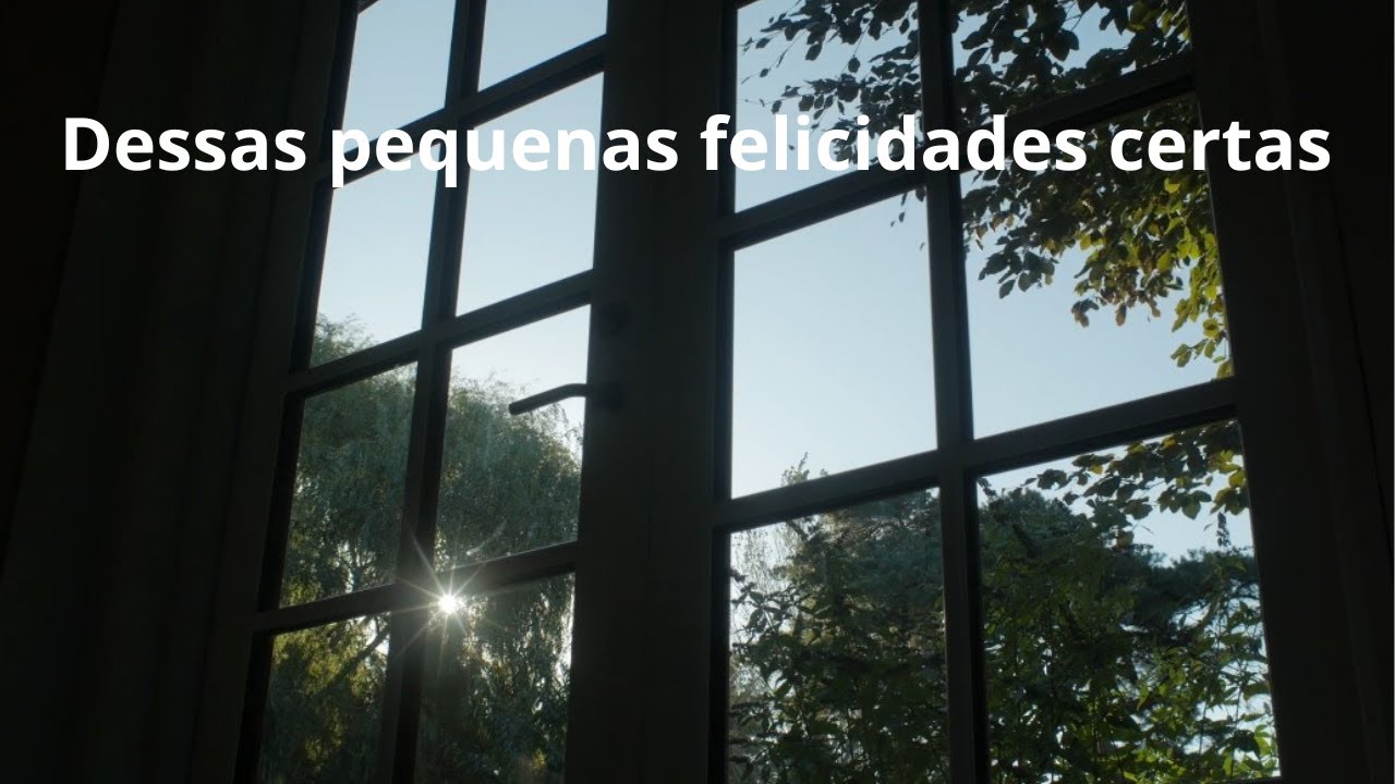 Dessas pequenas felicidades certas - Momento Espírita