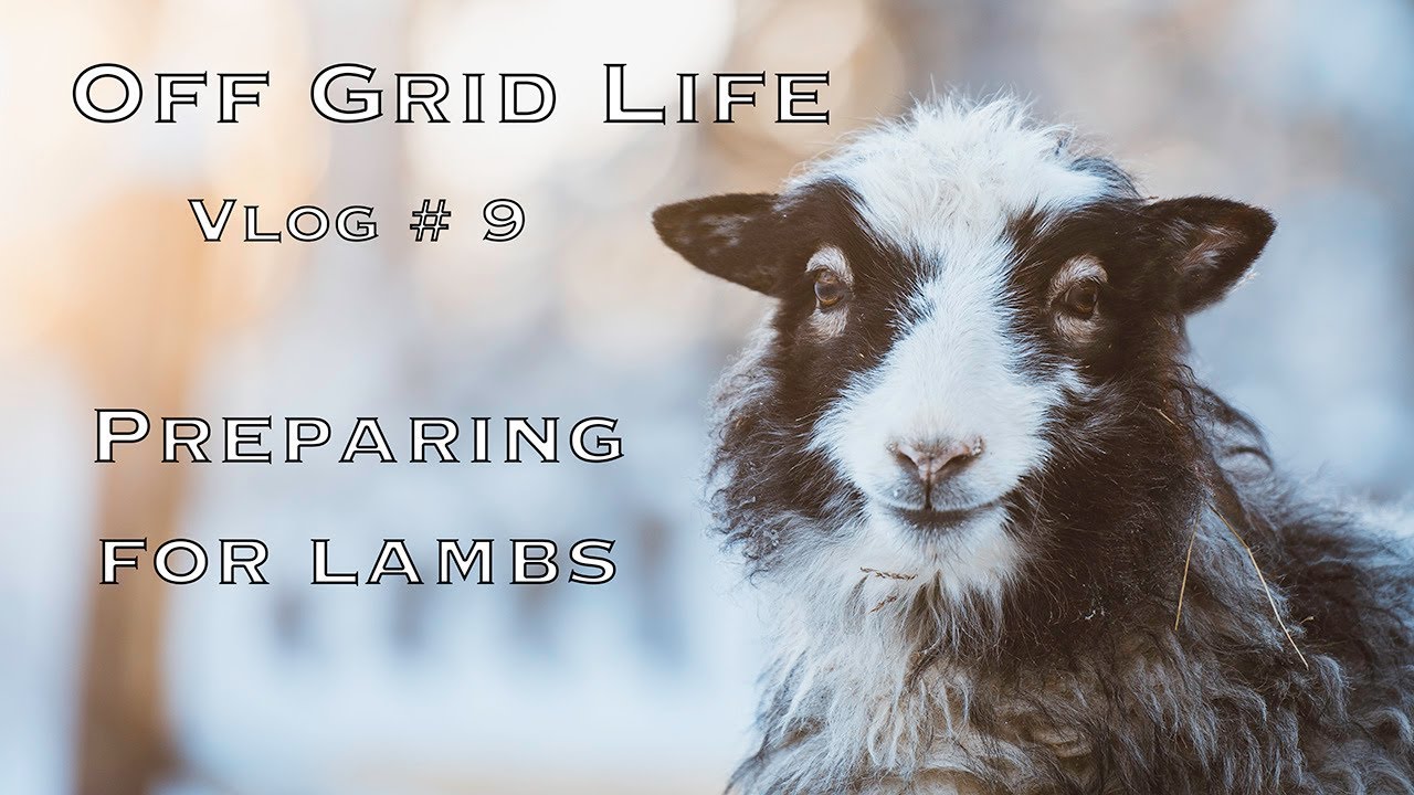 Off Grid Life | Prepare for lambs
