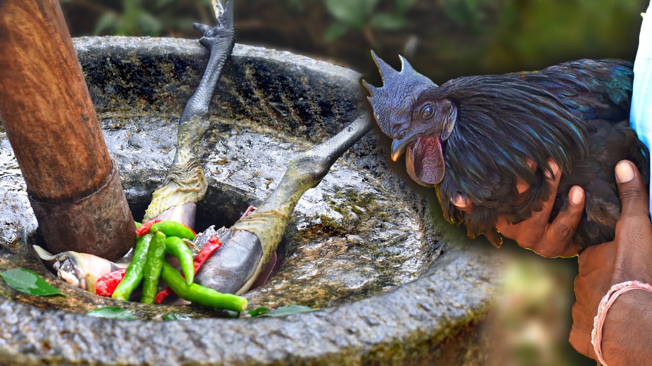 பாரம்பரிய கருங்கோழி ரசம் | Healthy Kadaknath Karum Koli Rasam |  Traditional Black Chicken Soup