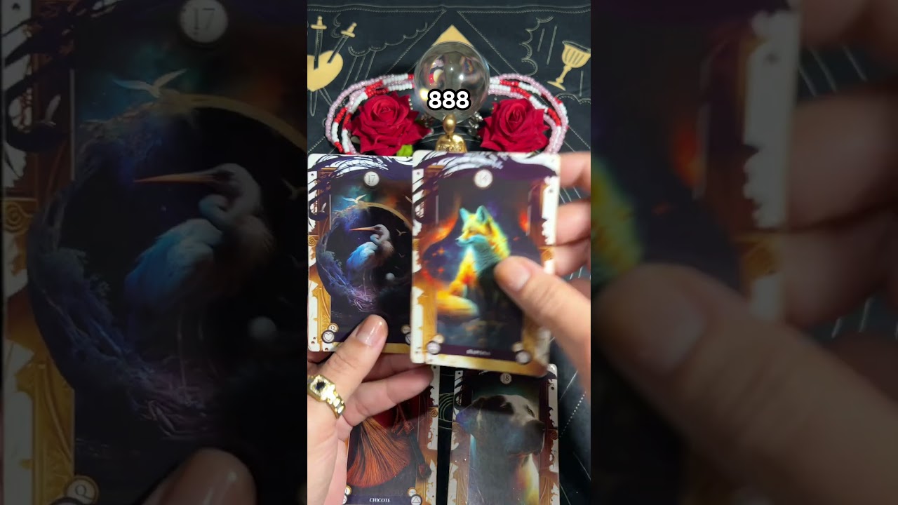 #espiritualidade #tarot #tarologo #taro #baralho #baralhocigano #amor