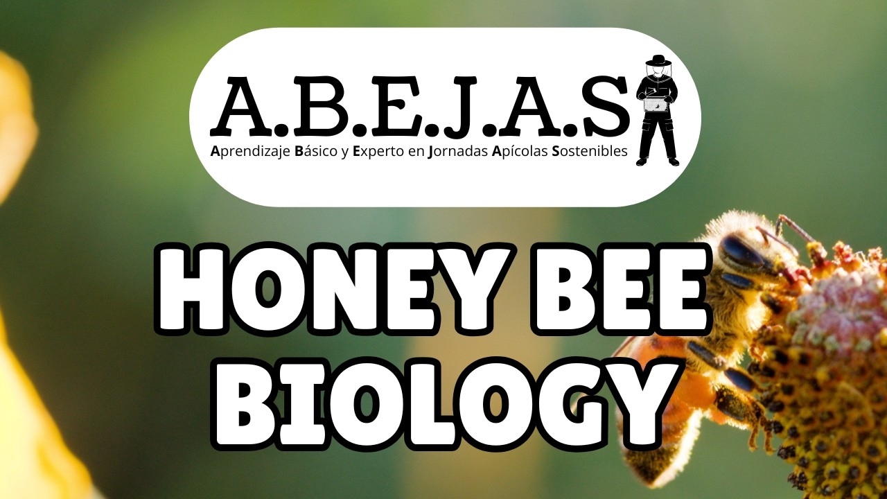 Honey Bee Biology (ABEJAS Module 1.1)