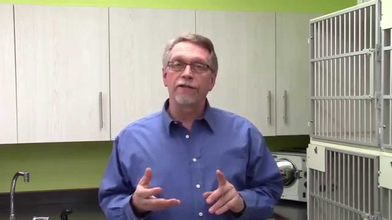 AKC Family Dog Magazine -  Dog Park Diseases