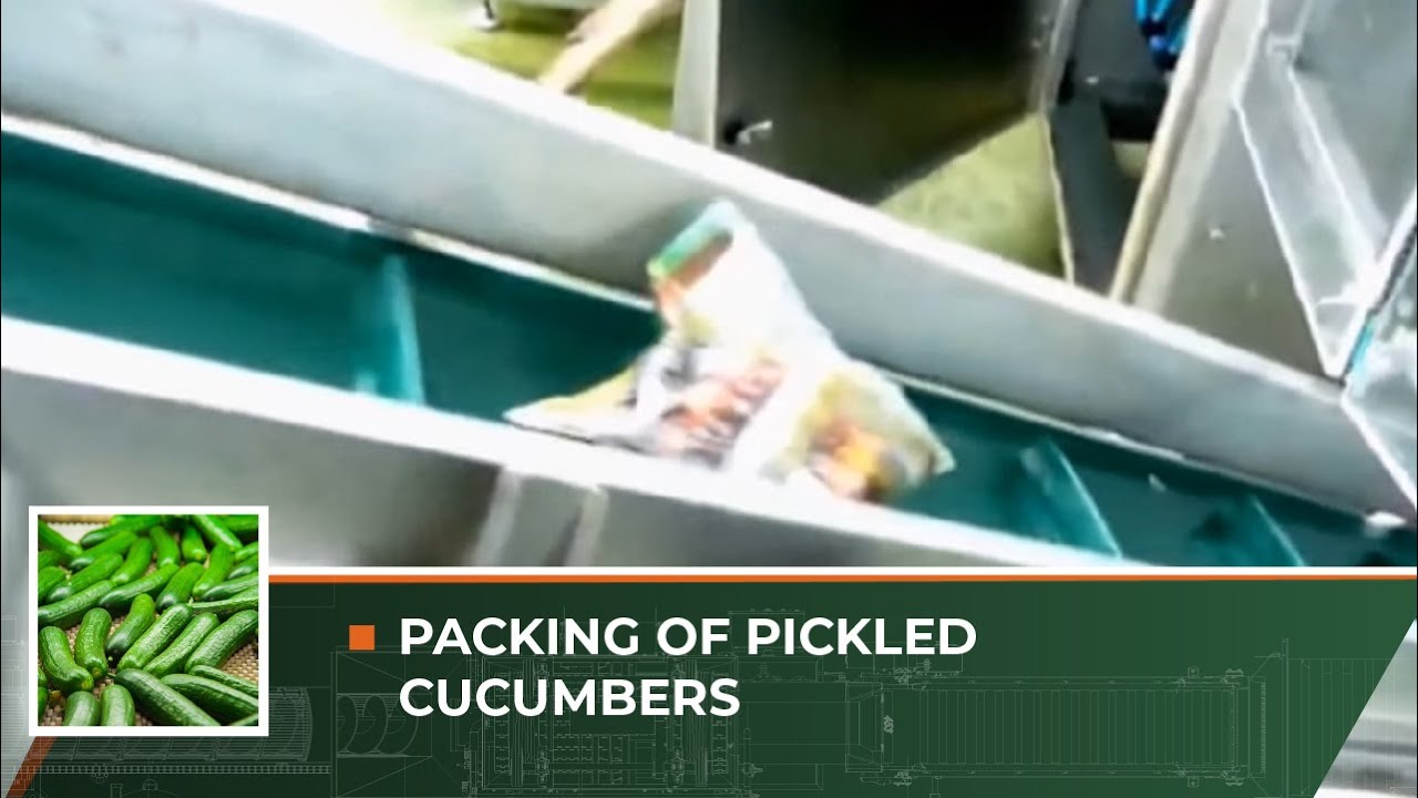 Pakowanie ogórka / PACKING OF PICKLED CUCUMBERS  / ЛИНИЯ ФАСОВКИ КВАШЕНЫХ ОГУРЦОВ