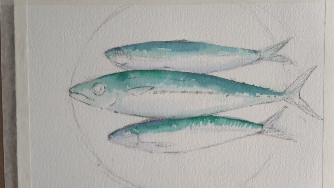 Mackeral & Sardines Watercolour & Gouache Fast Demo