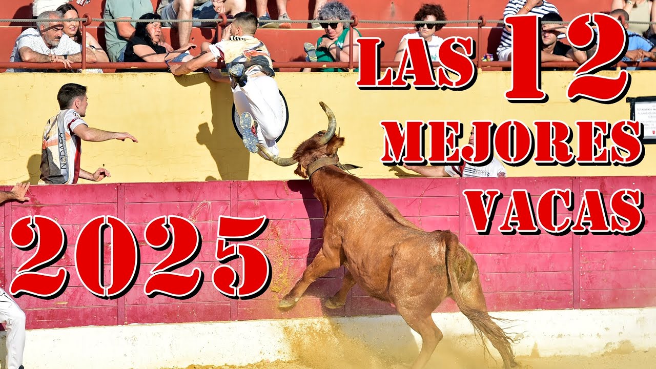 ⭕️🤘🏻 LAS 12 MEJORES VACAS DE 2025