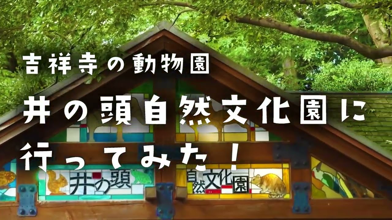 井の頭自然文化園に行ってみた【公式】