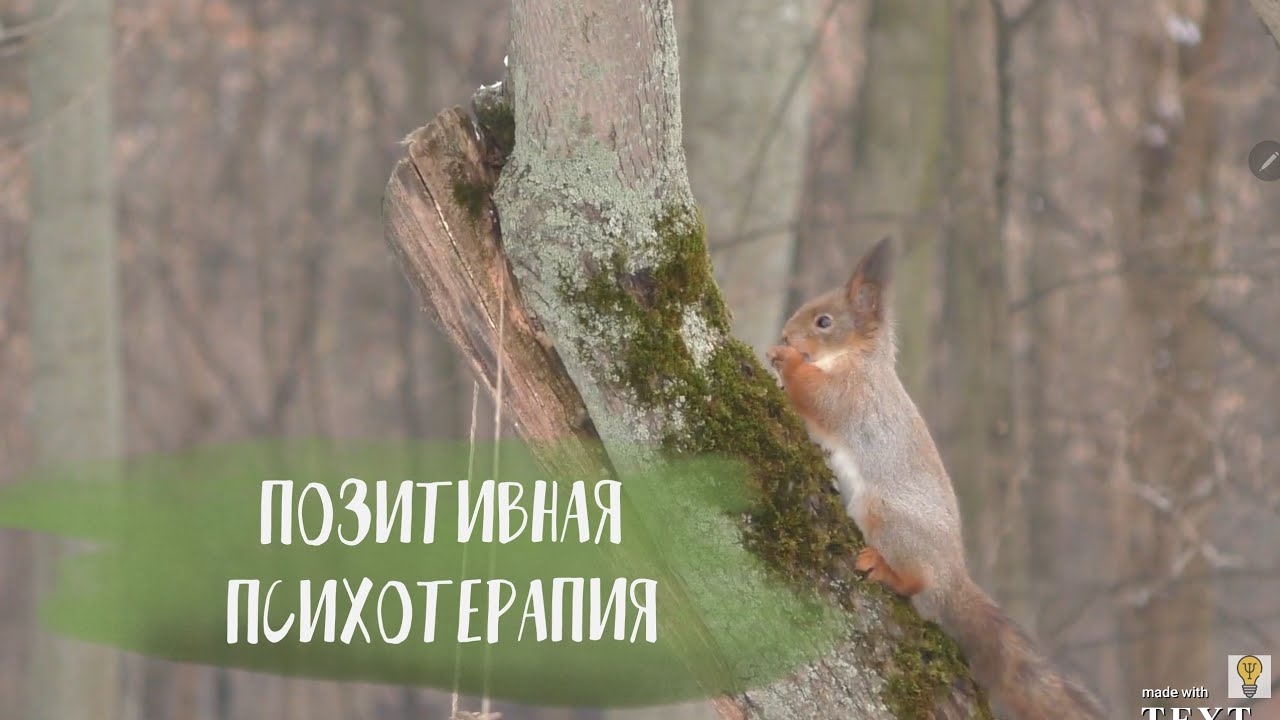 Что такое ПОЗИТИВНАЯ ПСИХОТЕРАПИЯ?