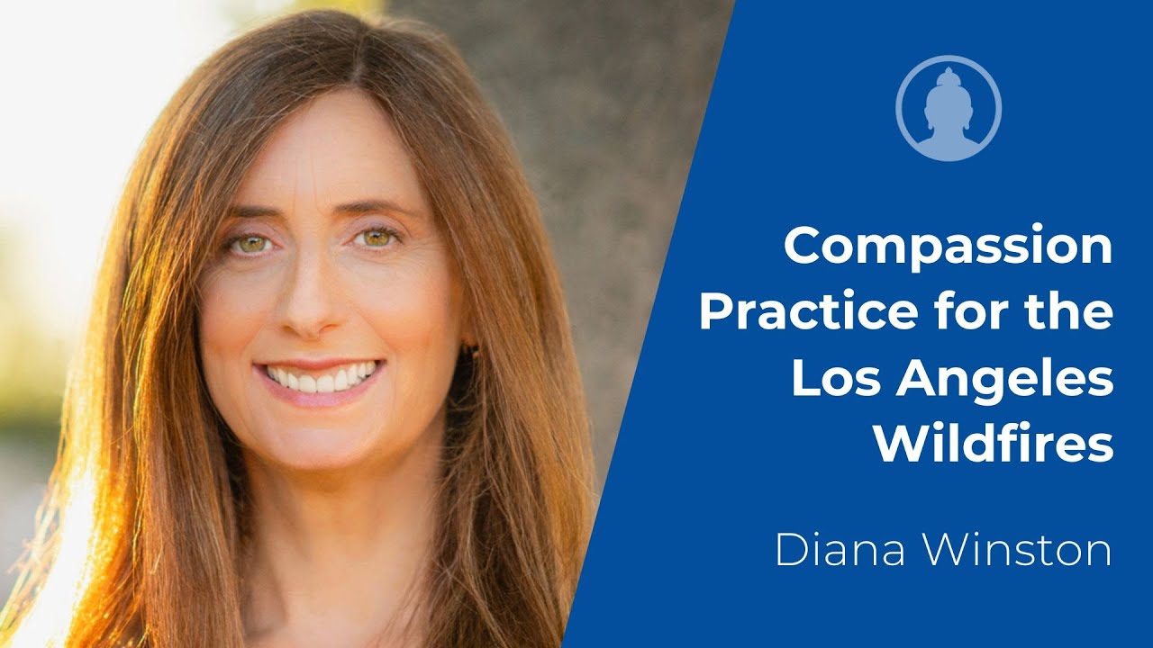 Compassion Practice for the Los Angeles Wildfires with Diana Winston