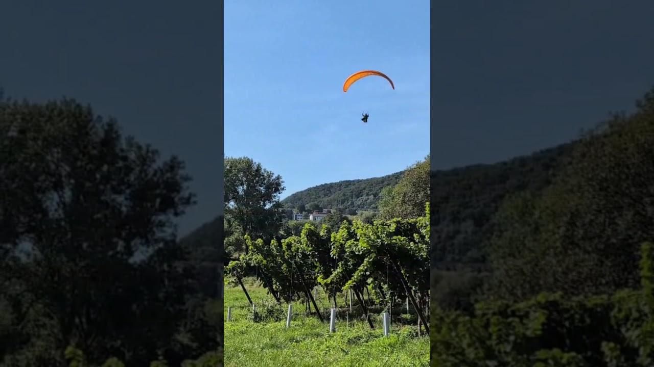 Gleitschirm Single skin  Rheinland-Palz