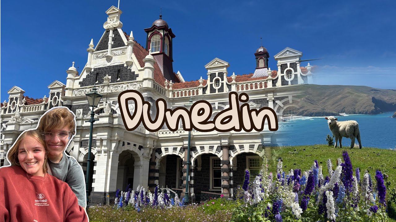 Dunedin Vlog🐑🪻 Horror Workaway lässt uns fliehen😵‍💫